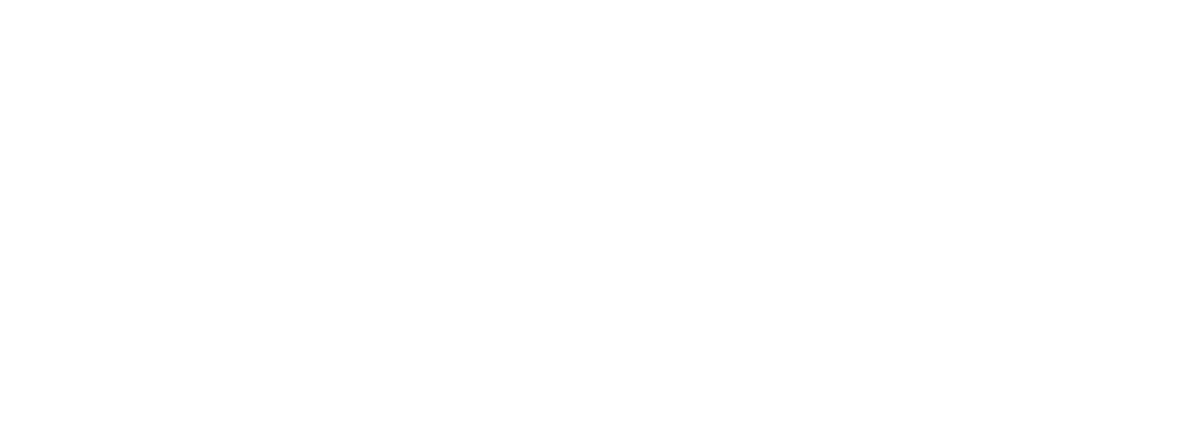 American Hospital